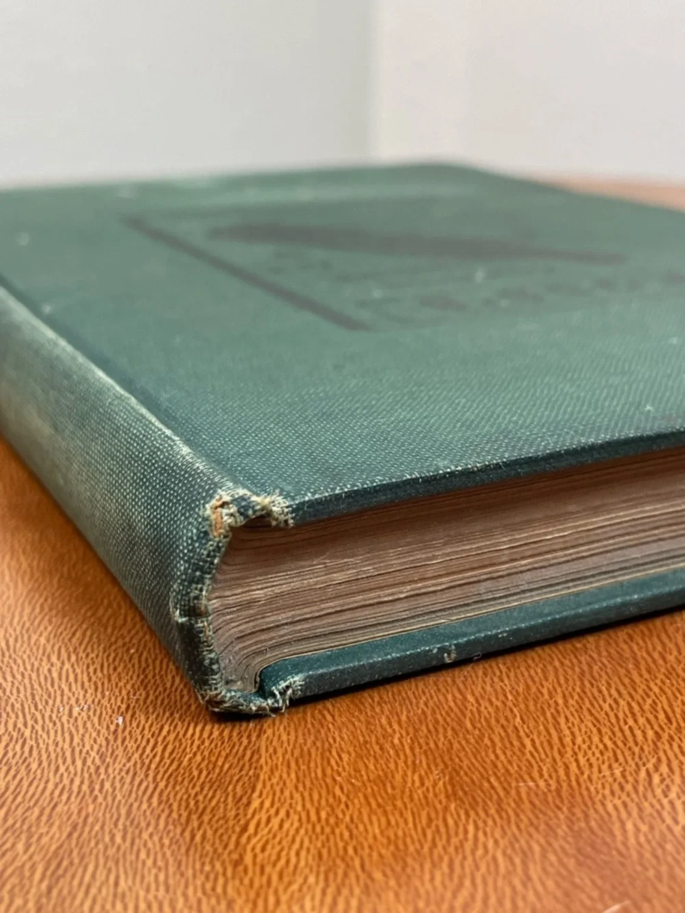 The New Lucile Cook Book 1906 Green Antique Acker Merrall Condit Co.